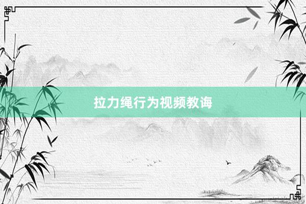 拉力绳行为视频教诲
