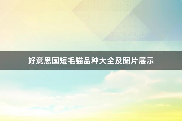好意思国短毛猫品种大全及图片展示